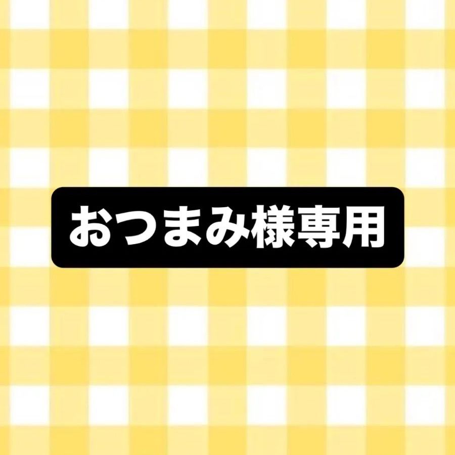 ☆おつまみ様専用ページ☆