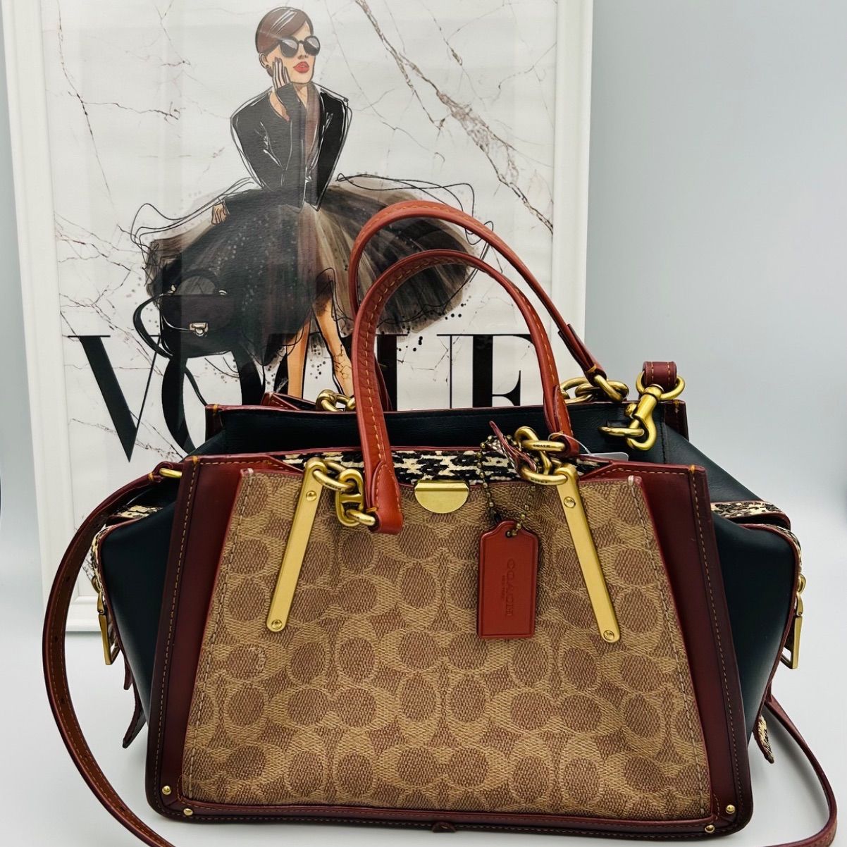 コーチ COACH ドリーマー シグネーチャー 2WAY ショルダーバッグ ...