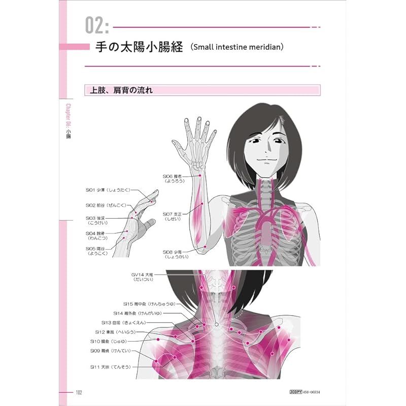 図解 経絡と解剖学 - メルカリ