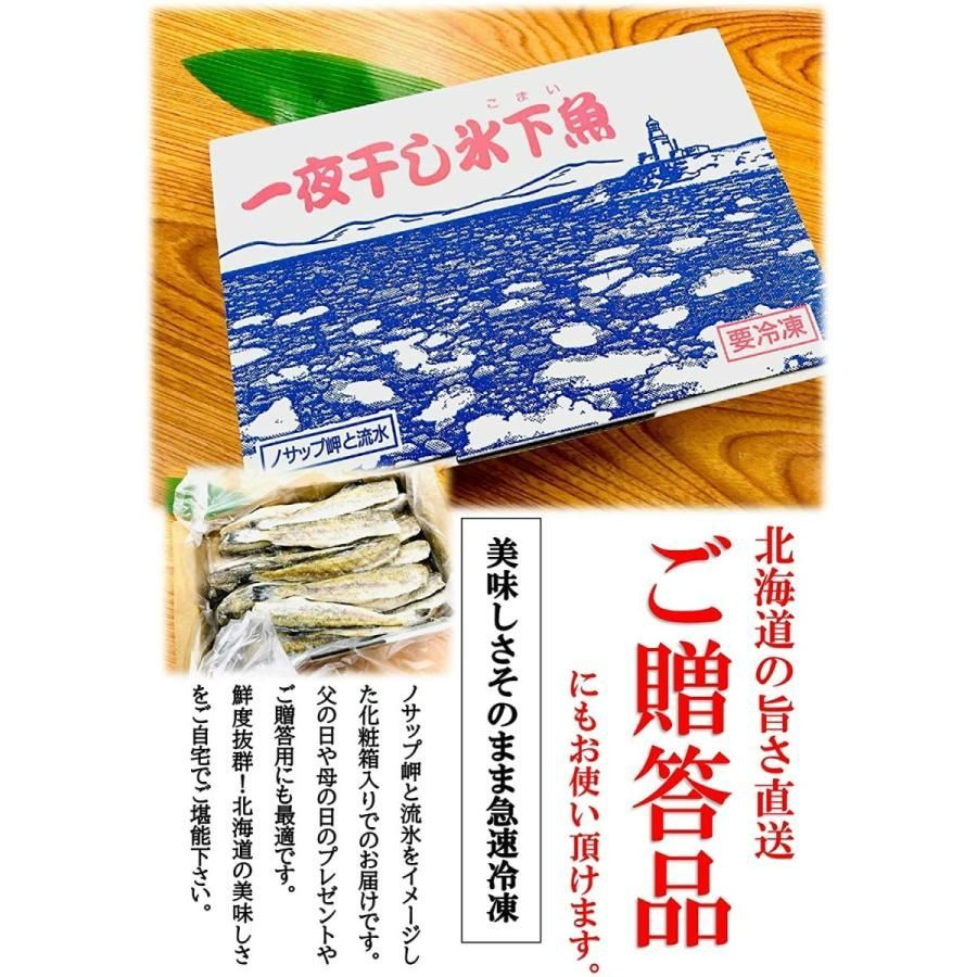 kakiya【北海道 根室産☆ コマイ 一夜干し 1kg】Ｍsサイズ  化粧箱入り 北の美味しさ！満天☆青空レストランでも紹介されました！ 氷下魚 こまい 干物