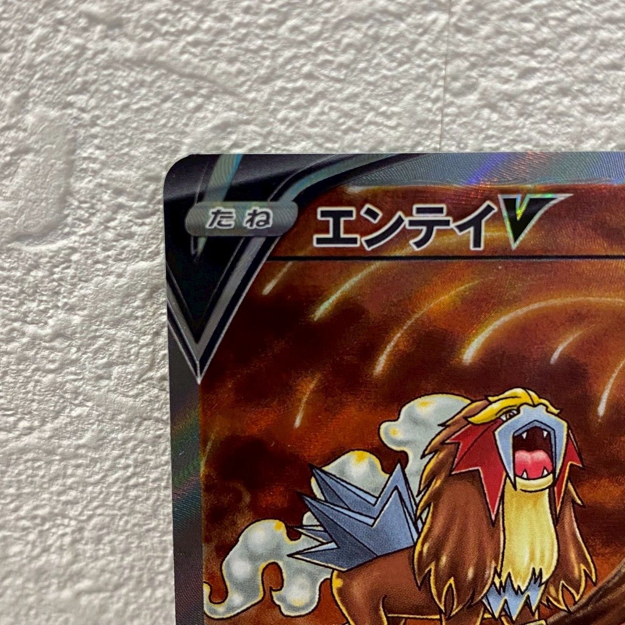 美品】エンテイV/SAR/スペシャルアートレア/S12a/213/172/No