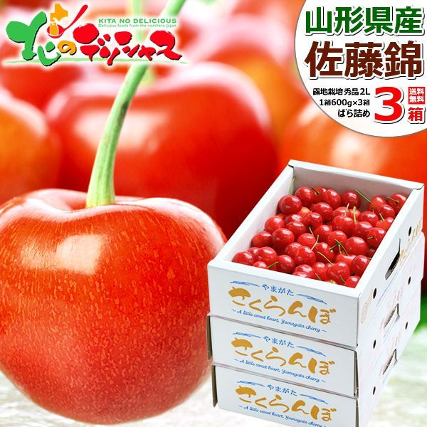 予約|6月上旬 6月12日 頃～出荷予定 山形県産 さくらんぼ 佐藤錦 秀品|2Lサイズ|1.8kg|常温便 露地 サクランボ さとうにしき ギフト 贈り物 お祝い 内祝い ご自宅用 ご家庭用 お家用 山形県 山形県直送 グルメ お取り寄せ