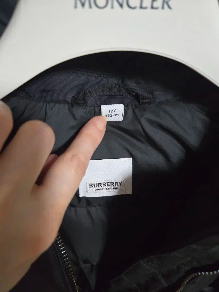 ポケモン 乱数調整 受付用 メモリーカード59 ポケモンコロシアム