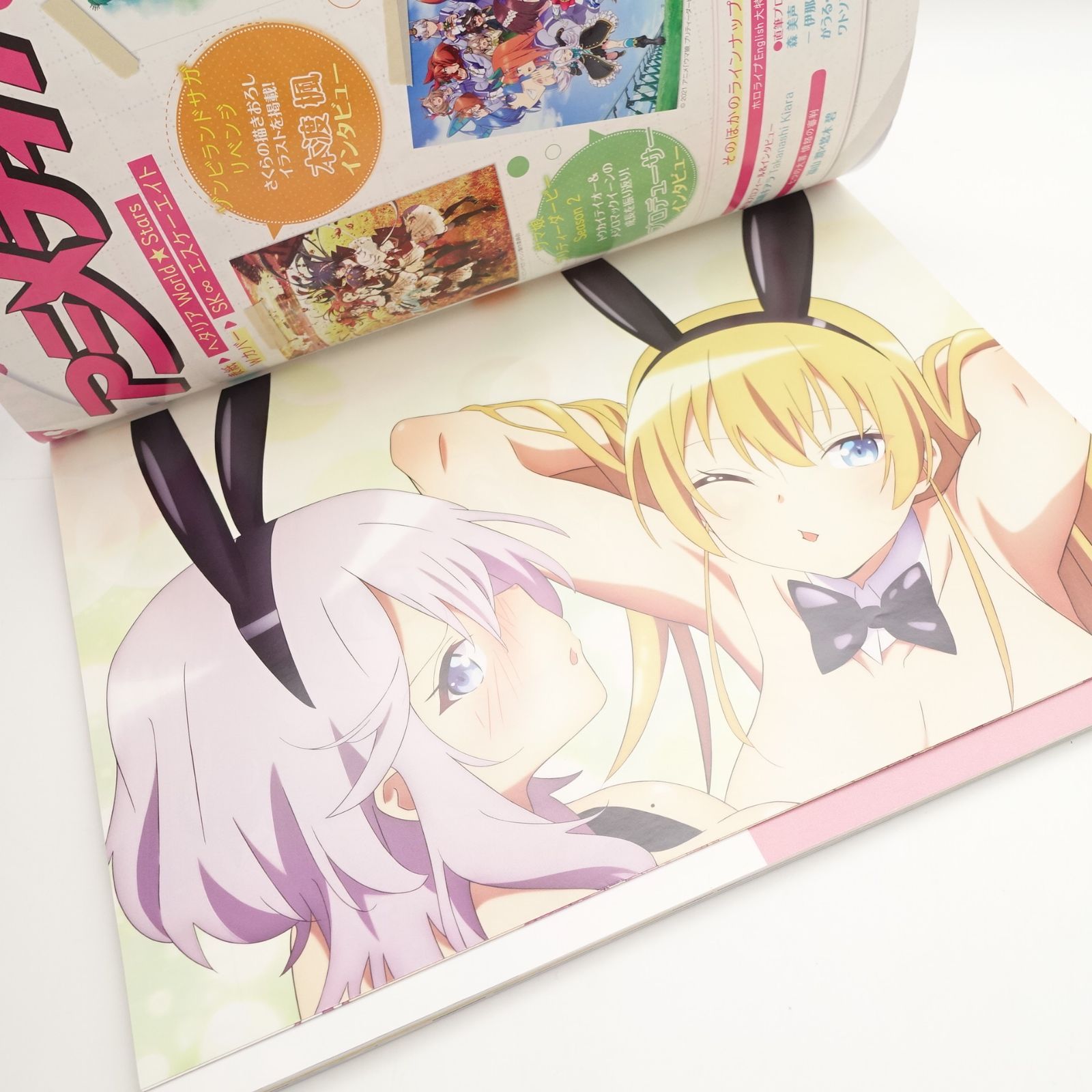 メガミマガジン 2021年5月号 中古品 別冊付録なし 五等分の花嫁