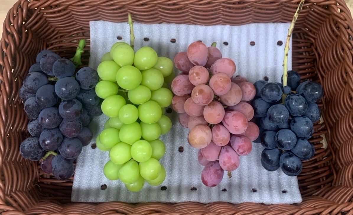 2330】丸鉢…備前焼 ○【2330】丸鉢…備前焼 楽天市場】備前焼 皿