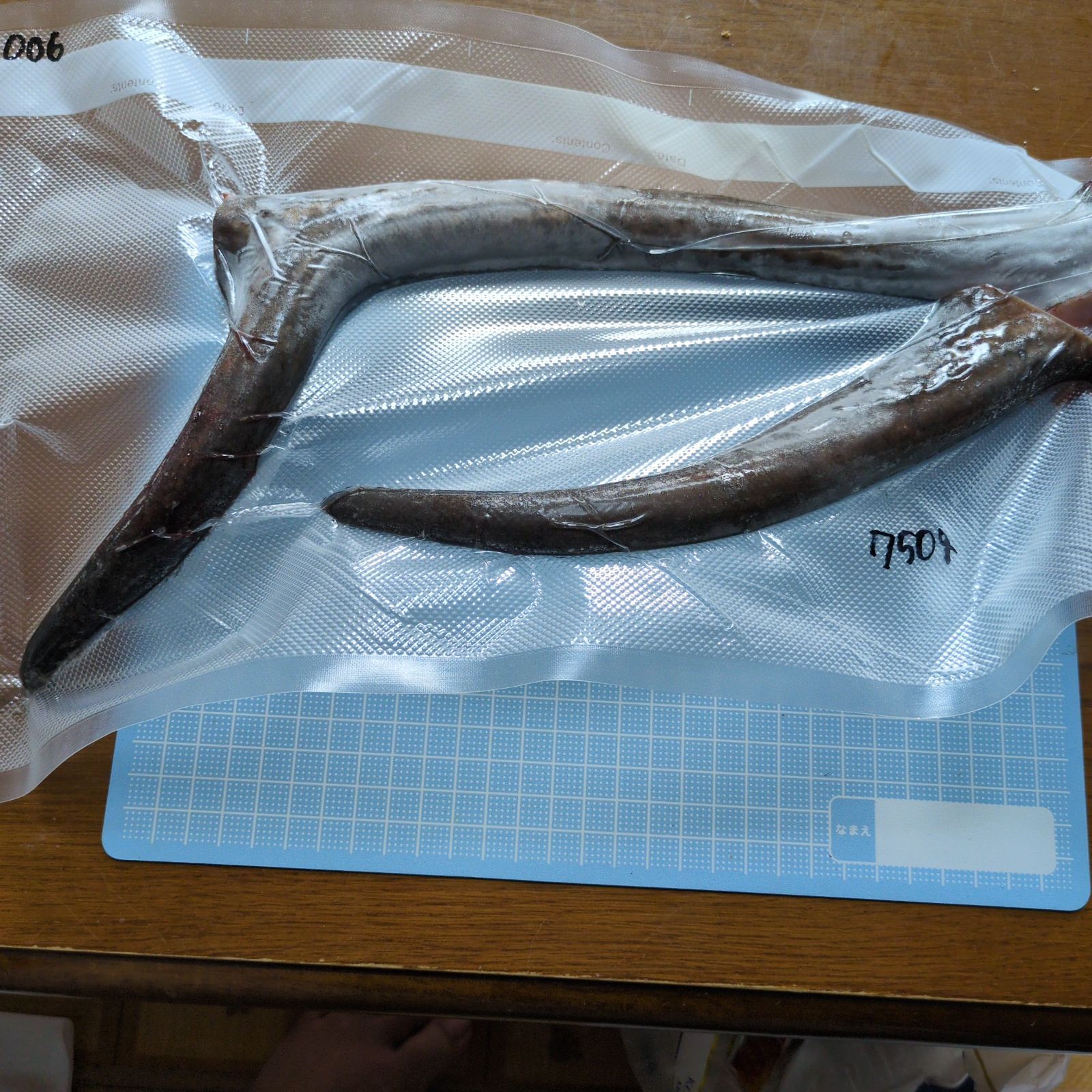 006 袋角 鹿茸 大きめまとめて約1589グラム エゾシカ