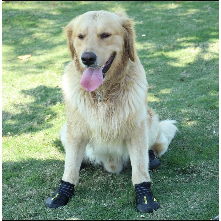 犬の靴屋さんDogSoxx【4足セット】 レッドS 塩化ビニールレザー