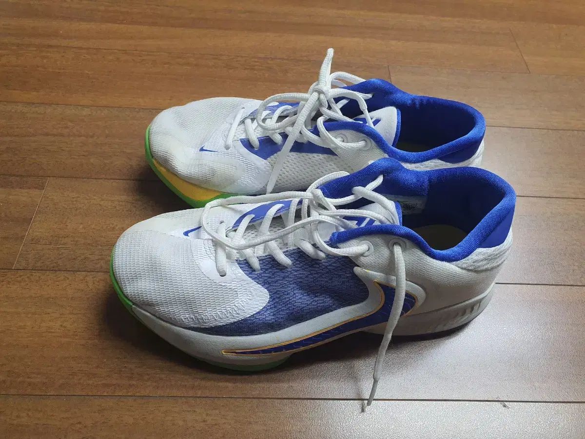 【雷市場（ポンジャン）商品韓国直送】 NIKE(ナイキ) スニーカー 250 A レベル