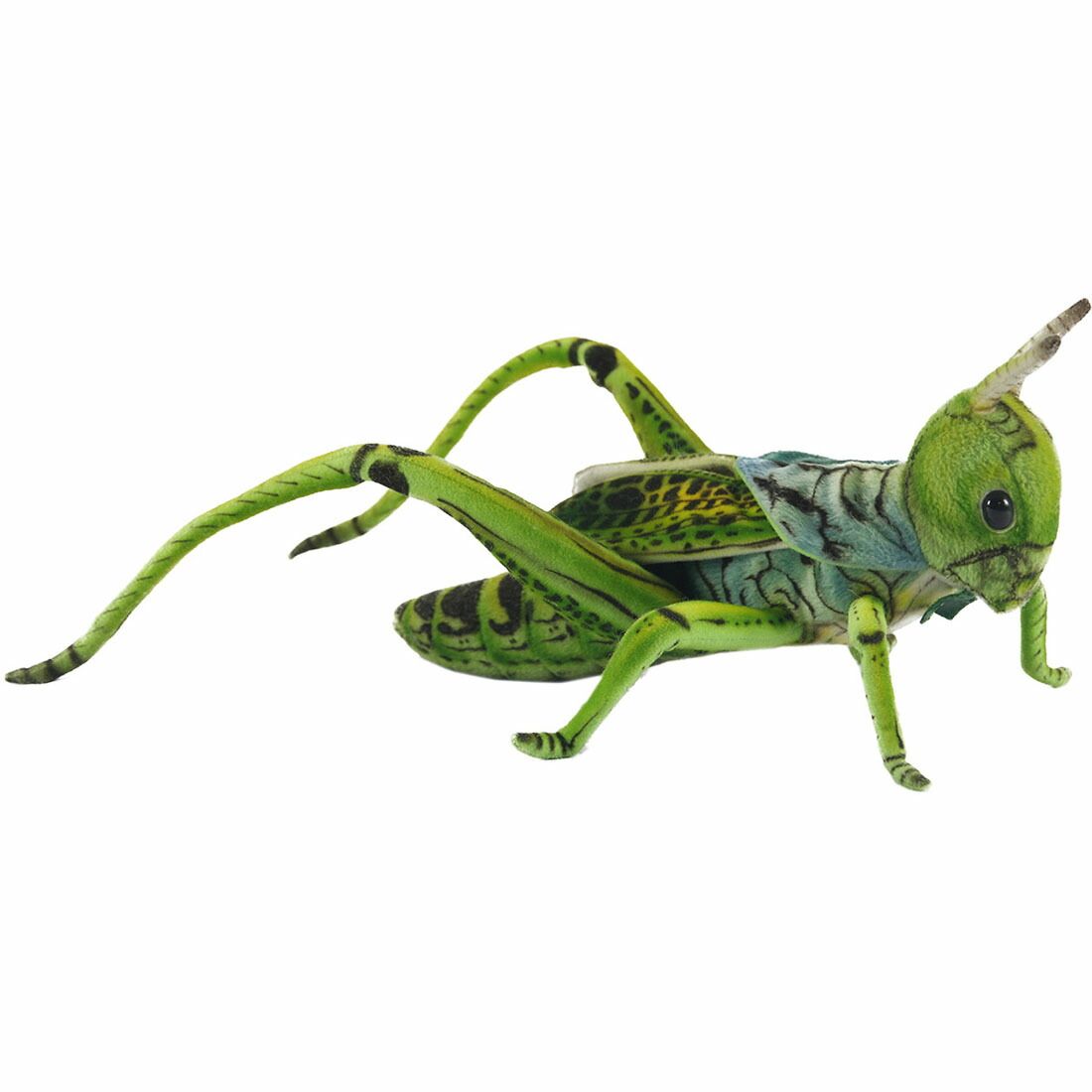 HANSA BH6879 バッタ グリーン 27 GRASSHOPPER 昆虫 虫 リアル グラスホッパー ぬいぐるみ ハンサ 動物 アニマル 置物 人形 フィギュア 大きい 実物大 大型 ビッグ おすすめ かわいい おしゃれ とんぼ