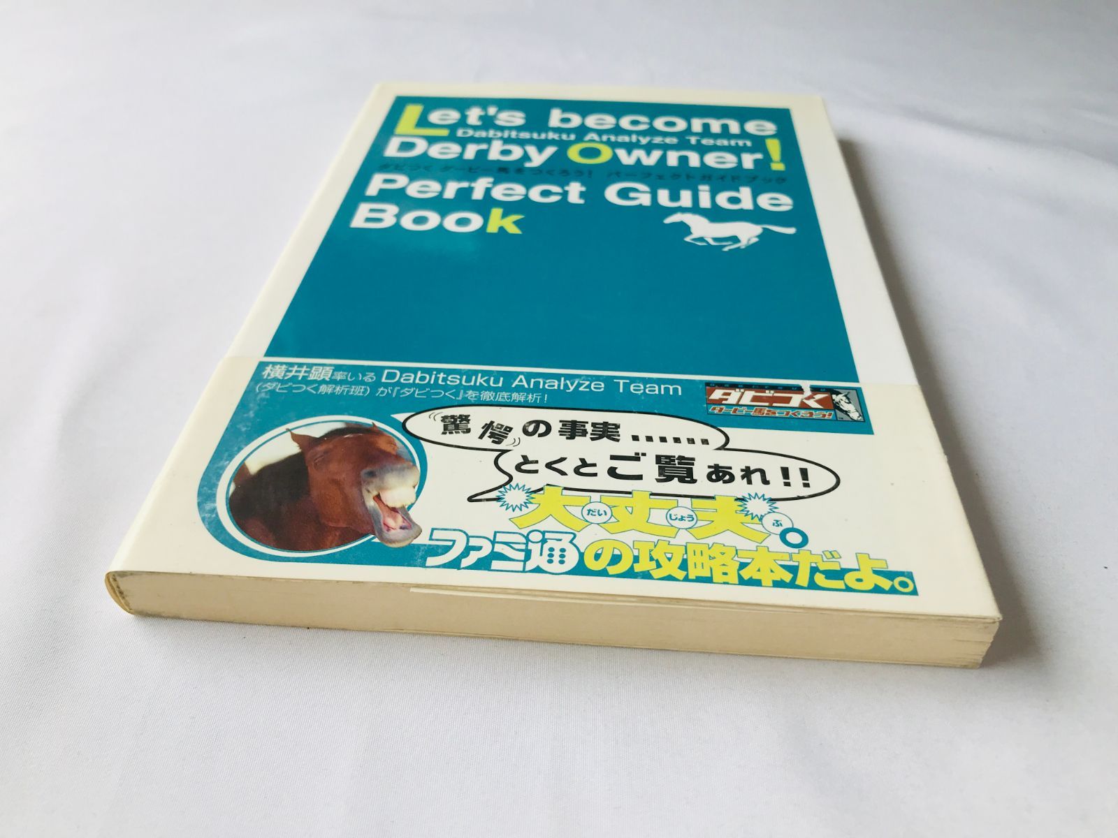 ダビつく ダービー馬をつくろう！ パーフェクトガイドブック