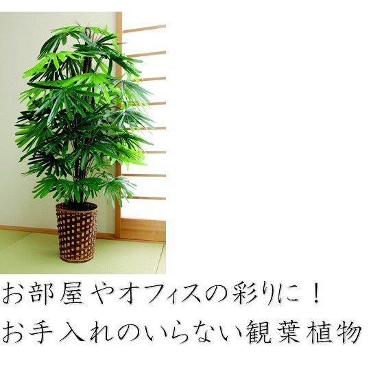 大型 風水