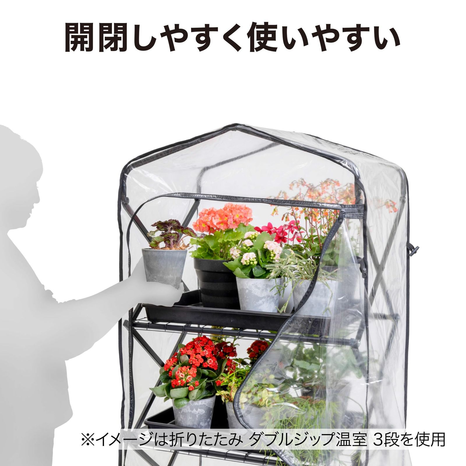 植物 育苗