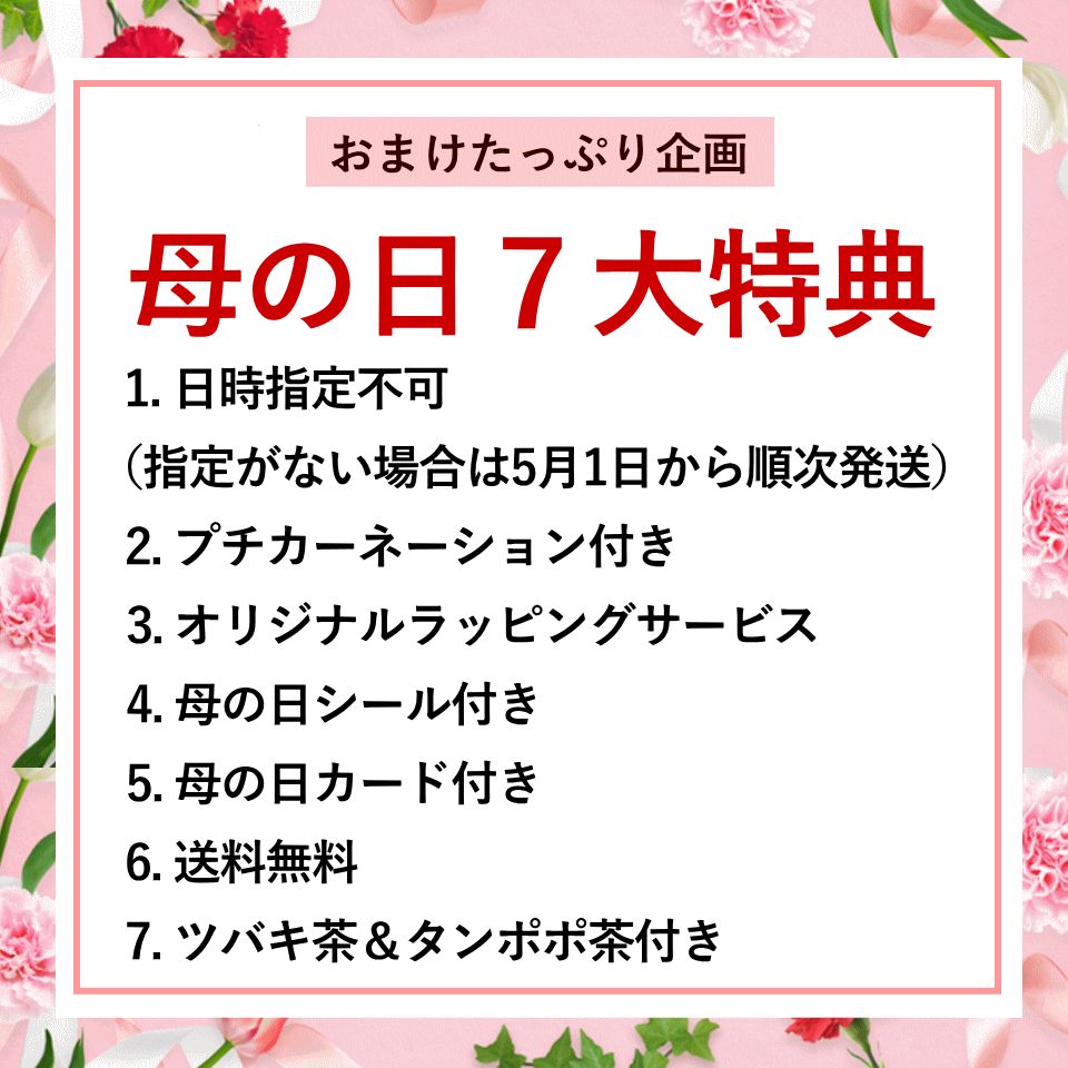 プチカーネーション＆健康茶付き サプライズ