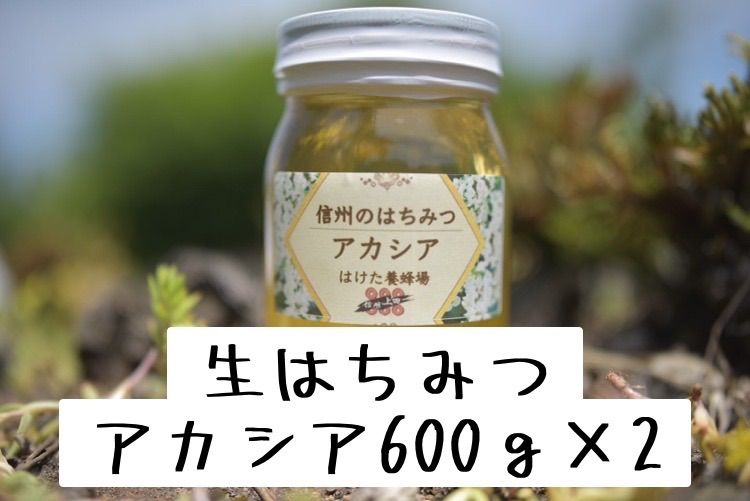 生産者直送 ハチミツ 蜂蜜 長野県産 非加熱 純粋 国産生はちみつ アカシア 600g 2本セット