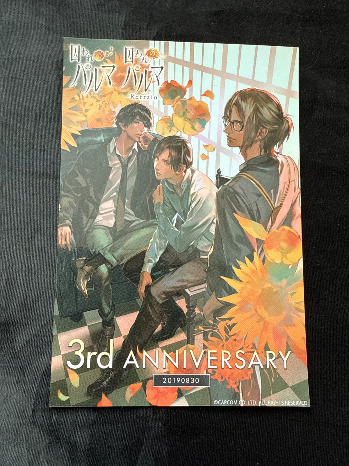 囚われのパルマ ハルト プロマイド ポストカード 囚われのパルマ ハルト プロマイド ポストカード