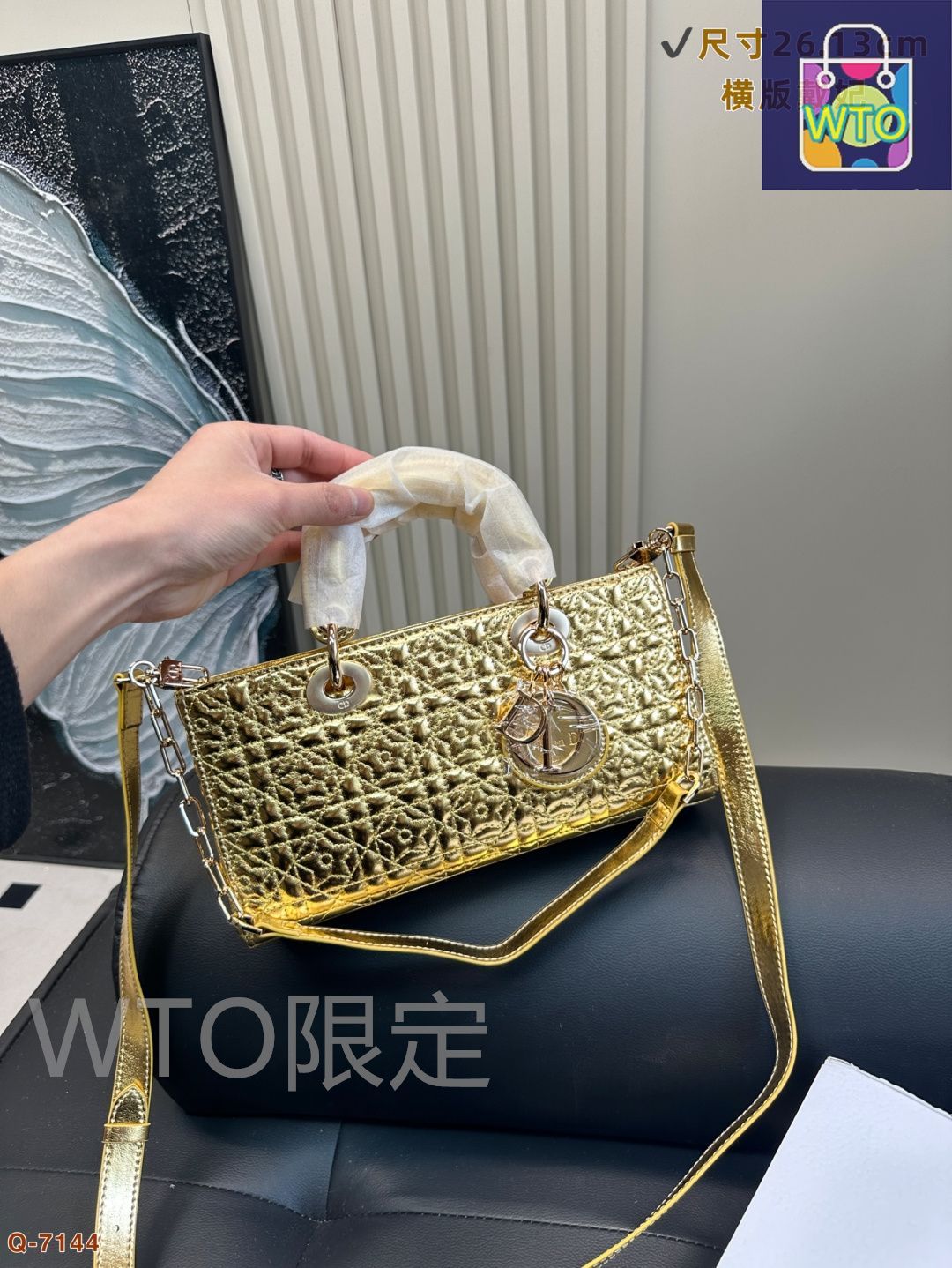 Dior のレーザー Lady-Life バッグ（DiorLady-Life） - メルカリ