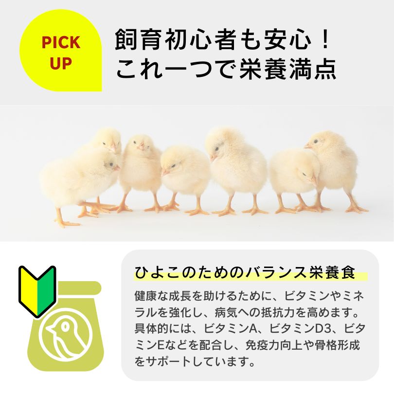 雛