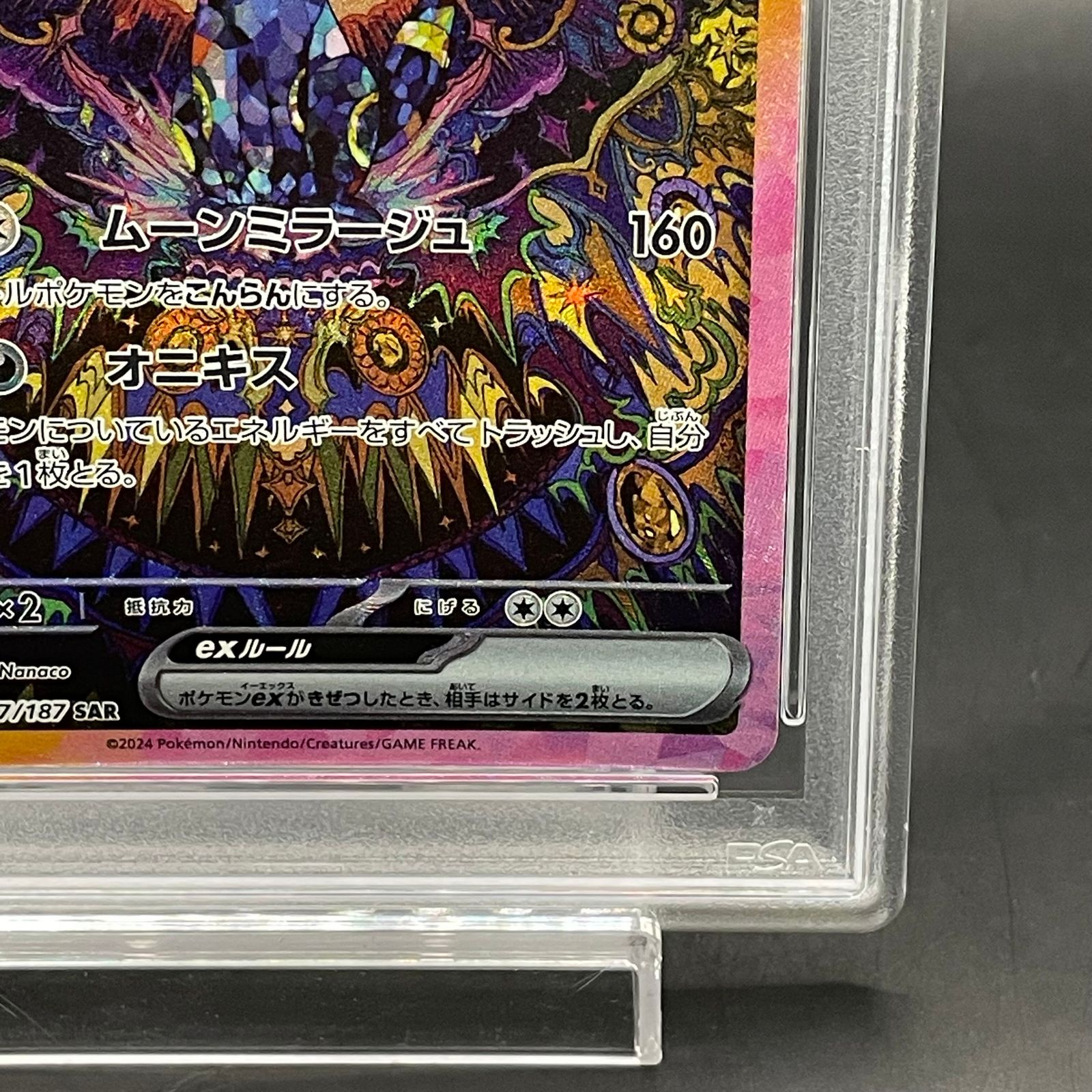 ブラッキーGX チャンピオンズリーグ プロモ【PSA10】PSA鑑定
