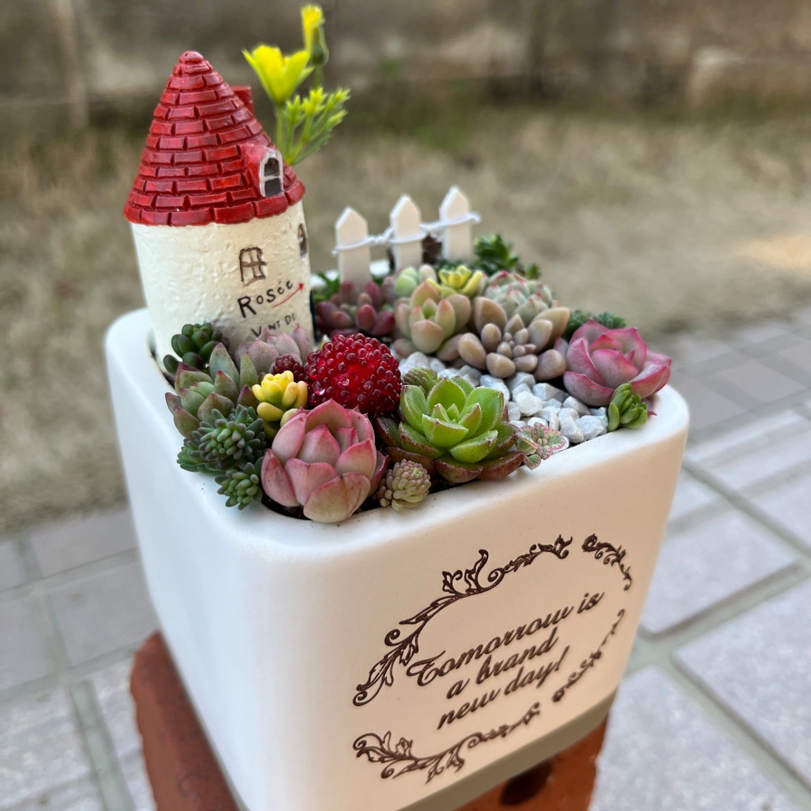 ♡そのまま飾れる♡陶器鉢♬ヨーロピアンガーデンの箱庭風多肉植物寄せ植え╰(*´︶`*)╯♡ - メルカリ