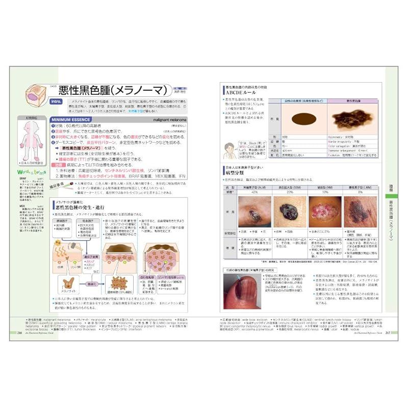 全14巻セット 病気がみえる 病気がみえる 1-14巻セット 本