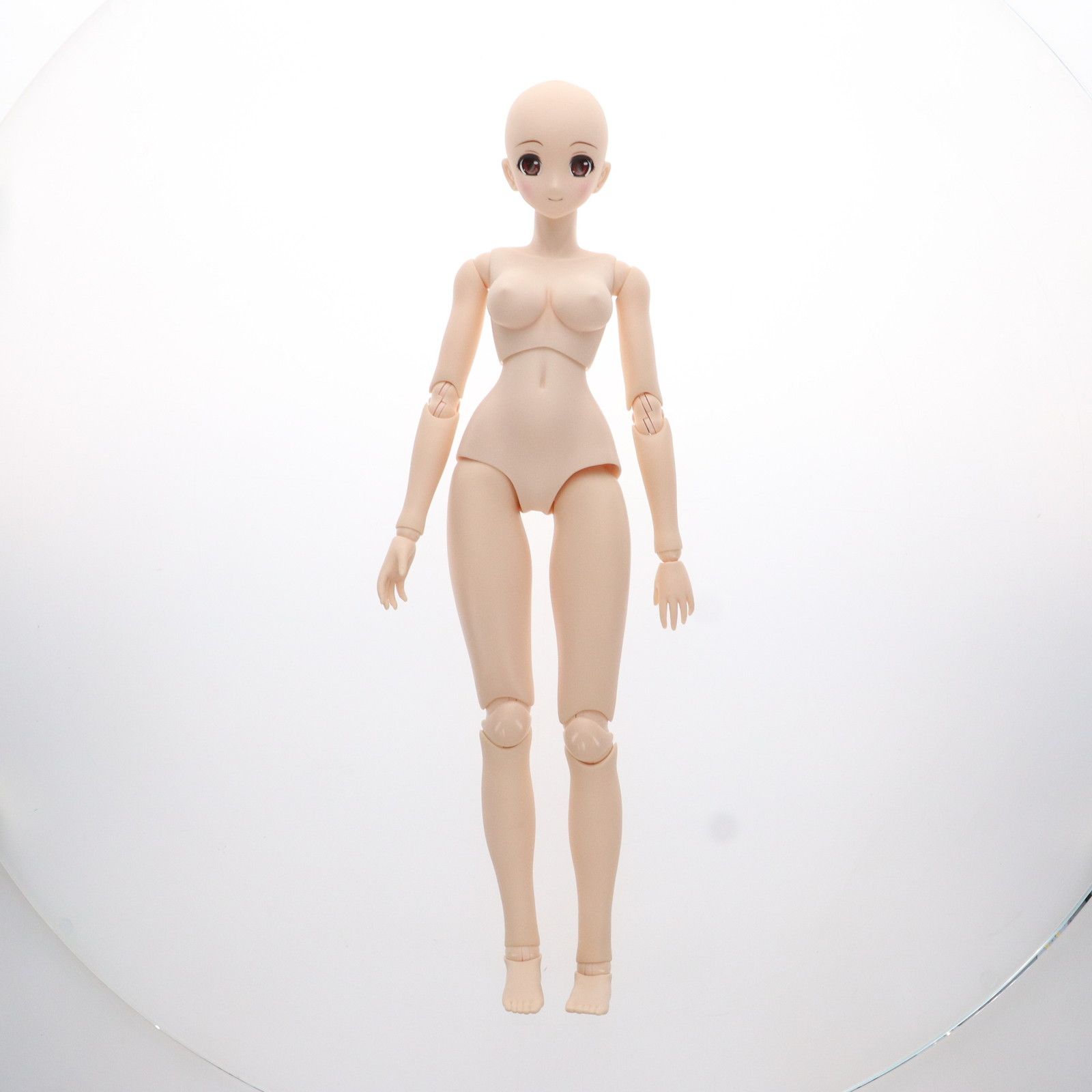 ドール　美萩(みはぎ)くれは/オリエンタルチャーミー 「Happiness Clover」 アゾンオリジナル50cmドール AZONE INTERNATIONAL::HappinessClover::商品詳細