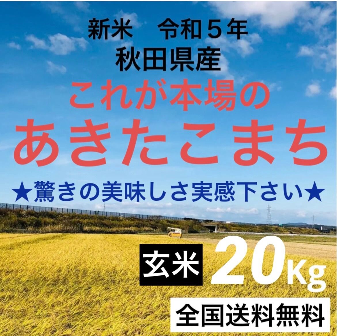 農家直送‼️令和５年度★新米★秋田県産これが本場のあきたこまち玄米20Kg