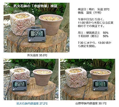 工房はやちねKobohayachine 抗火石軽石鉢 S-LLサイズ詰め合わせ - 山