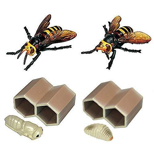 Yahoo!オークション - 7753 オブジェ 雀蜂の巣 スズメバチ ガラスケー