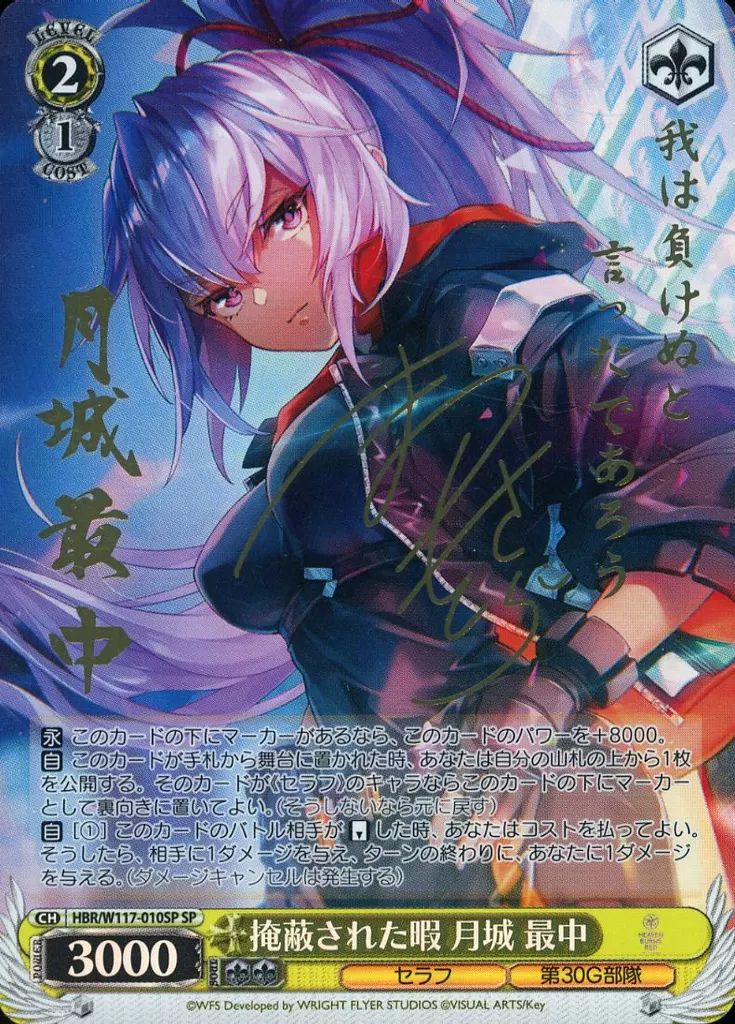 ヴァイスシュヴァルツ 掩蔽された暇 月城最中 SP Amazon.co.jp: 掩蔽された暇 月城最中 SP ヴァイシュヴァ ヘブン