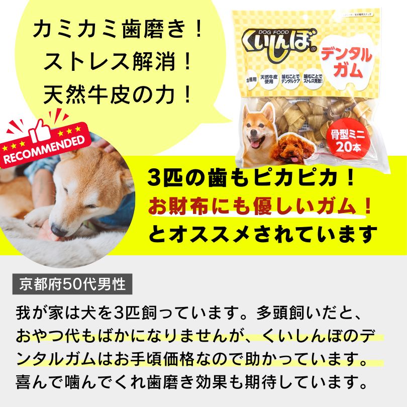 中型犬