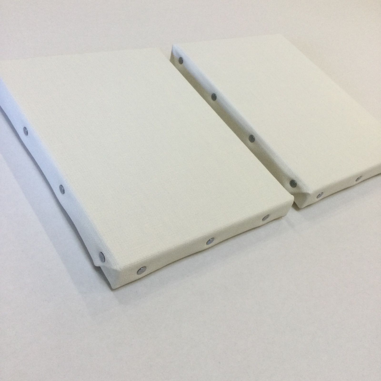 F0キャンバス　2枚セット