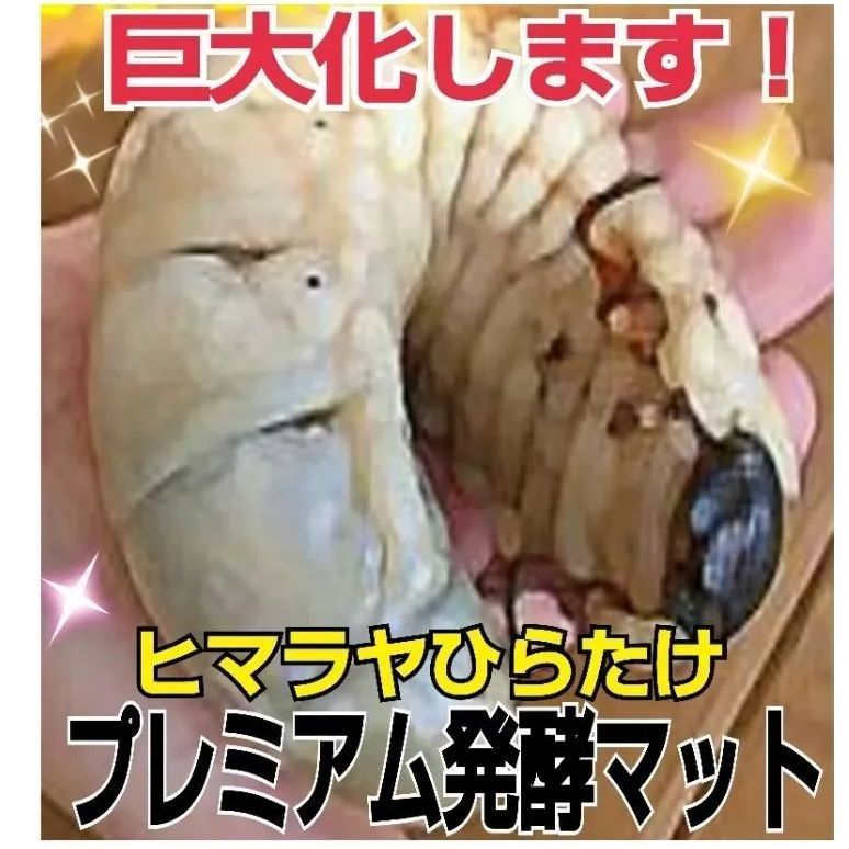 ですぐ届く カブトムシ幼虫が大きくなる！発酵マット【たっぷり6