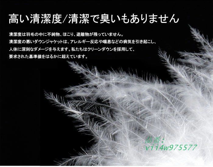 ダウンコート 大きいサイズ