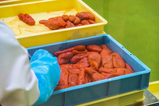 かねふく辛子明太子2L 1Kg 一本物 - メルカリ