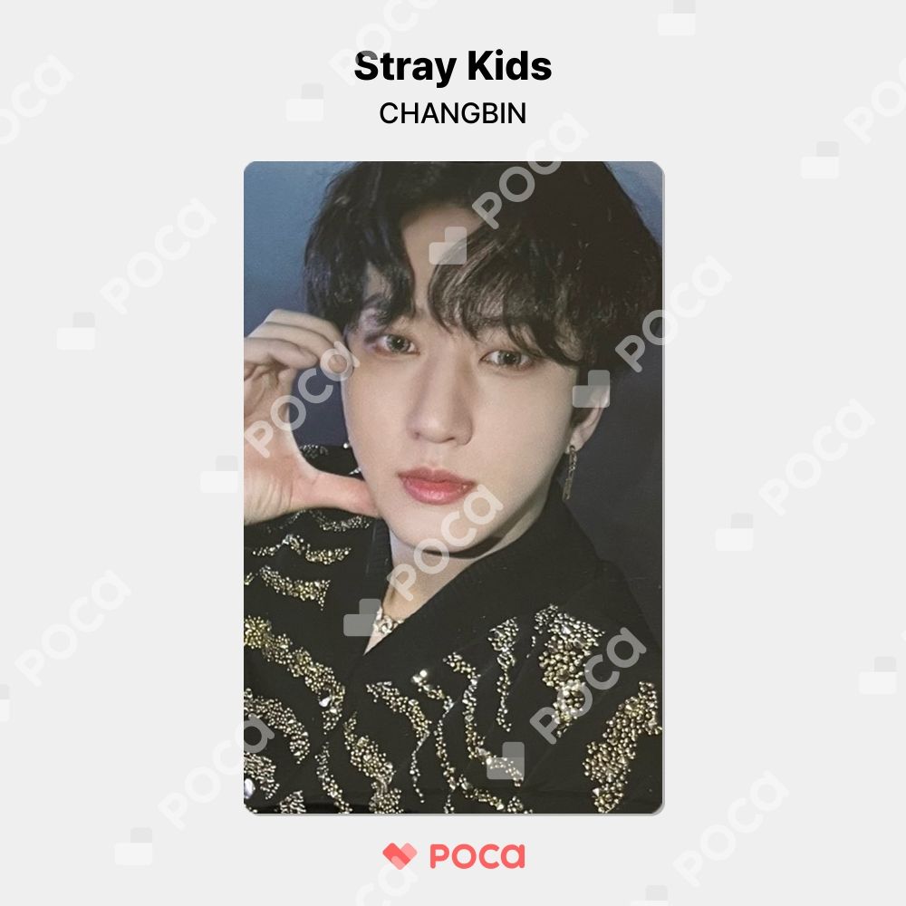 Stray Kids - straykids 5-STAR チャンビン　B&amp;N 特典 トレカ Stray Kids スキズ 5-STAR ① 特典トレカ 一覧 画像・ タワレコ