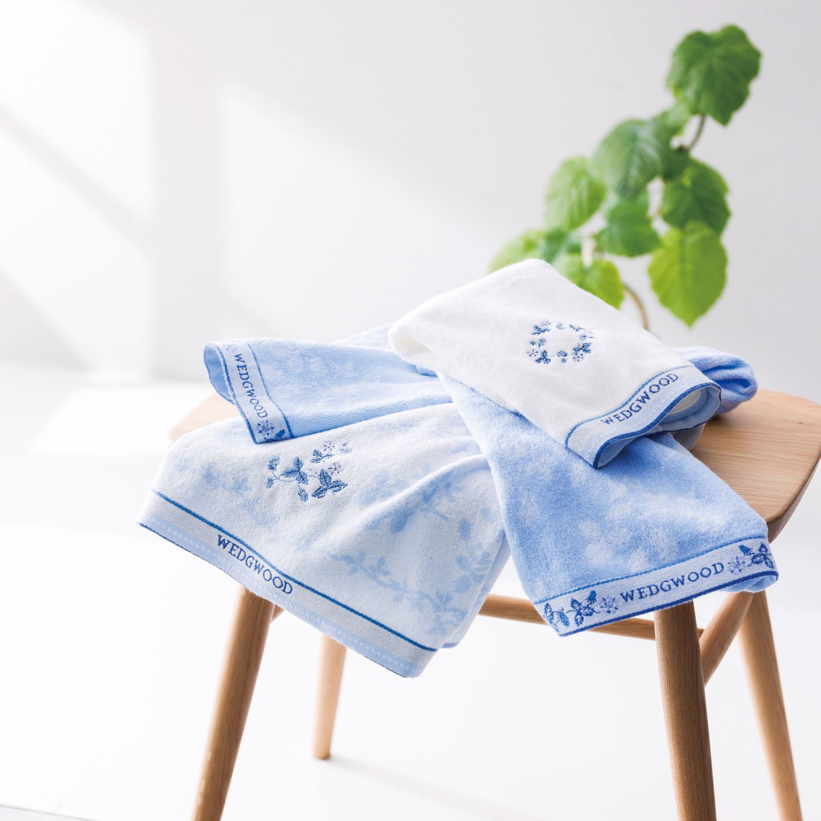 ウエッジウッド Cライン タオルセット