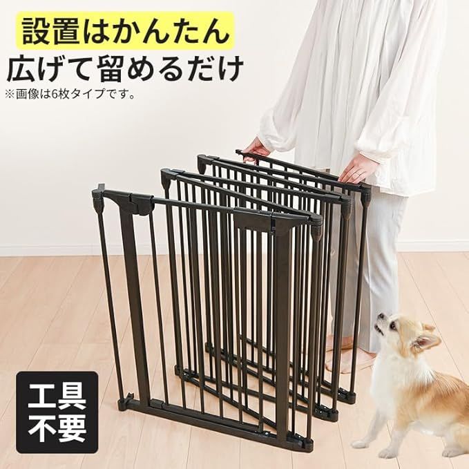 6枚セット