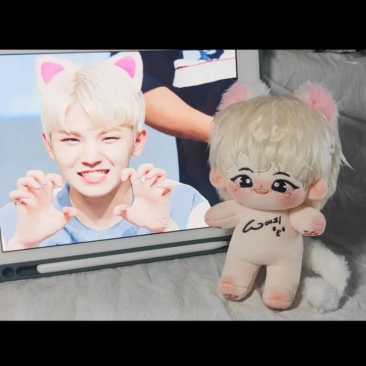 ウジ　ぬいぐるみ　15cm 新品　マスター　セブチ　svt ウジ ぬいぐるみ 15cm 新品 マスター セブチ seventeen - メルカリ