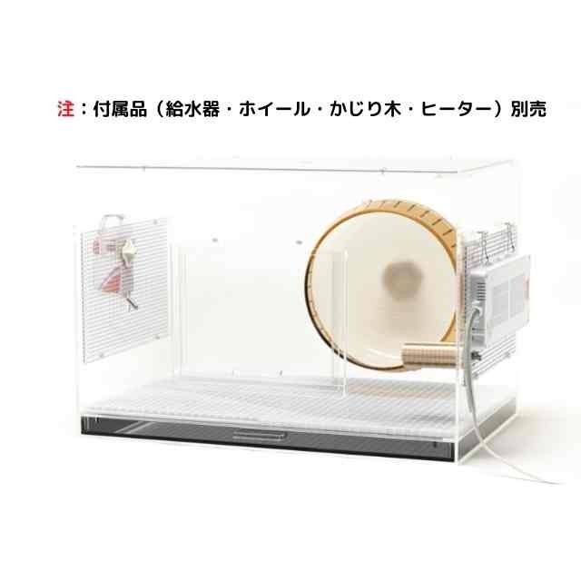 累計販売実績87台】リチャードソンジリス 80cm アクリル 高級 飼育 ケース ケージ 日本製 - メルカリ