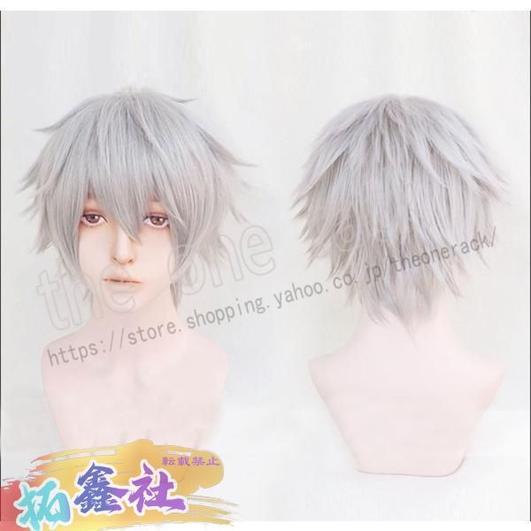 エヴァンゲリヲン 渚 カヲル 風 ウィッグ コスプレ キャラウィッグ 渚 カヲル(ヱヴァンゲリヲン新劇場版) | コスプレ商品一覧