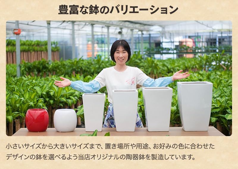 お中元 竹かご