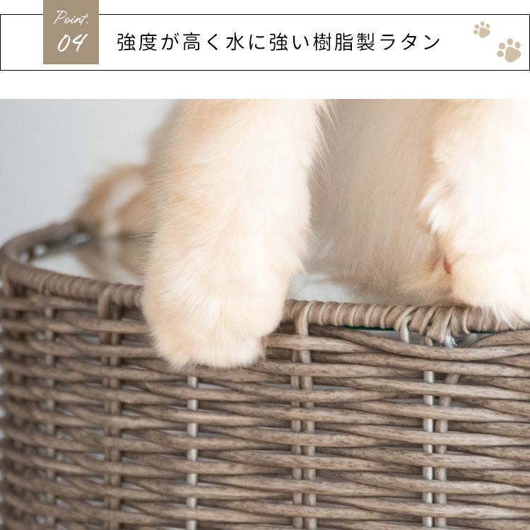 丈夫