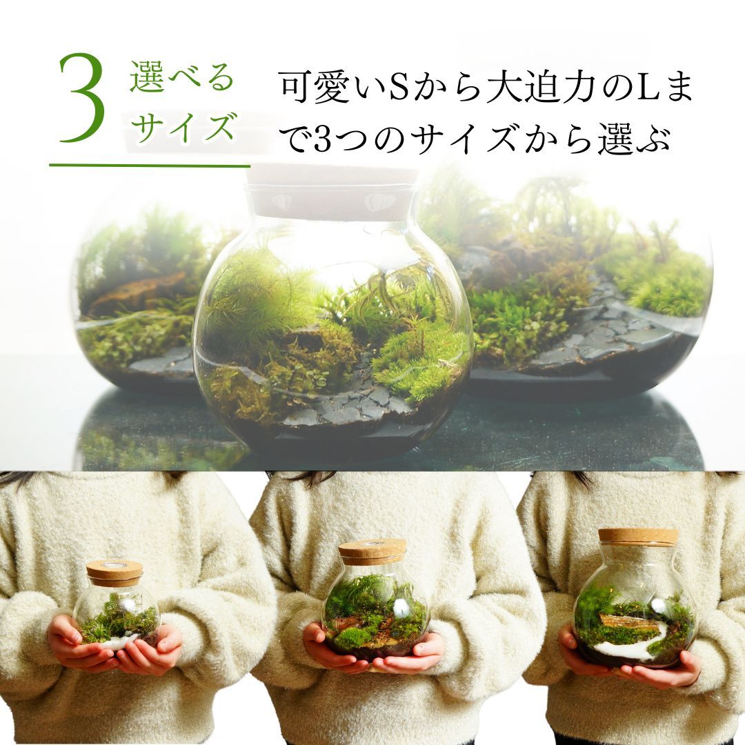 新生活 入学祝い