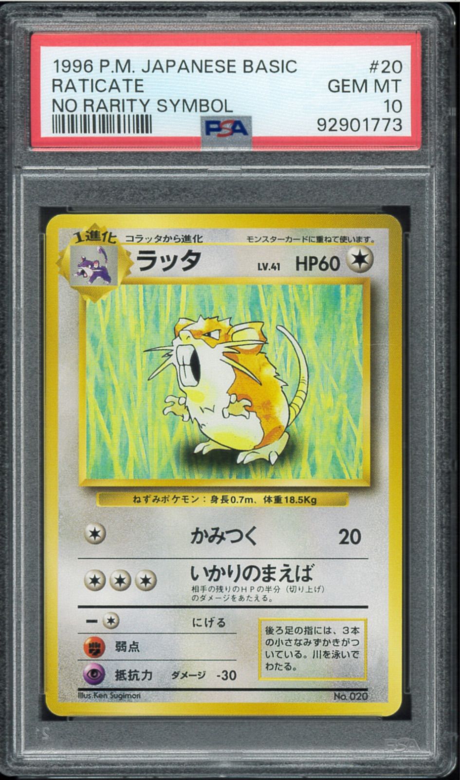 PSA10 ラッタ 初版 マークなし 旧裏 旧裏面 NO RARITY SYMBOL