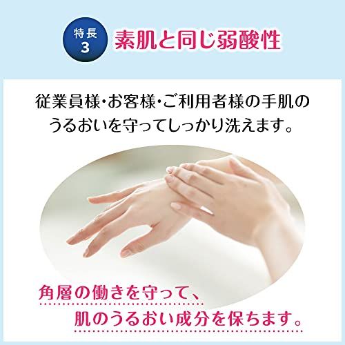 ケース販売：4L×3本】 花王 ビオレU 泡ハンドソープ 業務用 4L 【公式