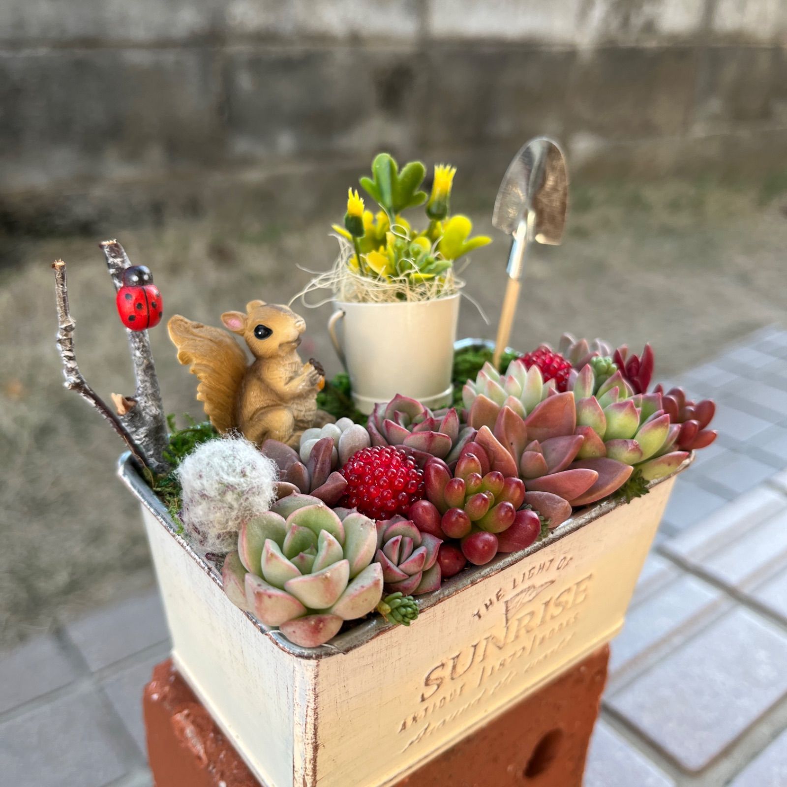 ♡そのまま飾れる♡リスちゃんのガーデン♬多肉植物寄せ植え