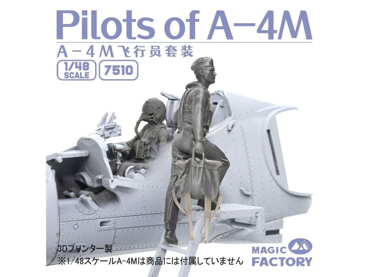 ボリス・アクーニン 墓地の物語 ロシア語 露語 小説 ハードカバー本