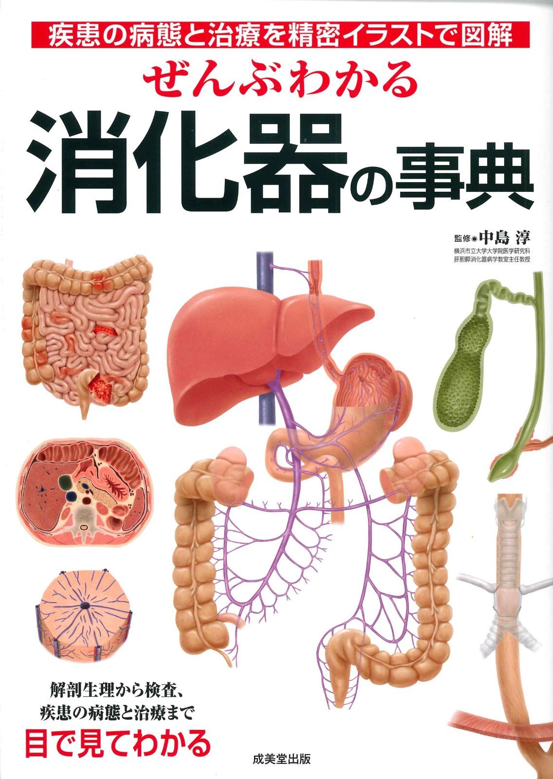限定SALE，人気SALE ぜんぶわかる消化器の事典 その他