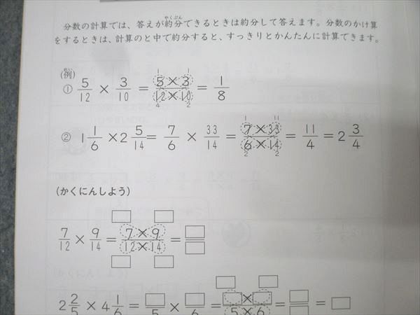 SAPIX 小学4年 算数 プライマリー/デイリー/サマーサピックス 計