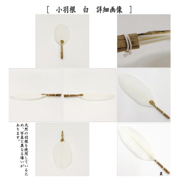 女桑 小羽根
